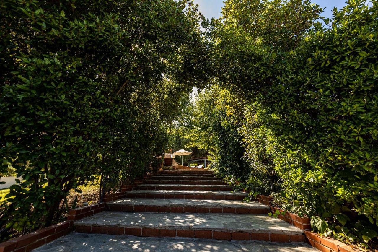 Casa Villa, Xenia Παλιούρι Εξωτερικό φωτογραφία